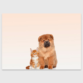 Поздравительная открытка с принтом щенок и котенок друзья в Кировске, 100% бумага | плотность бумаги 280 г/м2, матовая, на обратной стороне линовка и место для марки
 | ветеринару | друзья | животные домашние | кот | котенок | любителю собак | млекопитающее | мультипликационный персонаж | мультяшная собака | мэй кун | песики | питомцы | псы | собакены | собаки