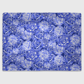 Плед 3D с принтом Голубые и синие розы в Кировске, 100% полиэстер | закругленные углы, все края обработаны. Ткань не мнется и не растягивается | blue | flora | floral | flower | flowers | romantic | rose | roses | violet | букет роз | букет цветов | бутон | бутоны | день женщин | для девушек | для женщин | женский день | праздник | роза | романтика | садовая роза | флора