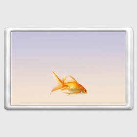 Магнит 45*70 с принтом золотая рыбка в Кировске, Пластик | Размер: 78*52 мм; Размер печати: 70*45 | аквариум | градиент | золотая рыбка | подводный мир | рыба | рыбешка | рыбка