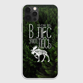 Чехол для iPhone 12 Pro Max с принтом В лес захотелось в Кировске, Силикон |  | бег | болота | выезд с палатками | глушь | дикая природа | елки | еловый бор | кэмпинг | лес | лось | маршрут | ммб | сибирь | силуэт лося | тайга | тотем | трекинг | туризм | узоры