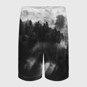 Детские спортивные шорты 3D с принтом Туман в лесу в Кировске,  100% полиэстер
 | пояс оформлен широкой мягкой резинкой, ткань тянется
 | tegunvteg | деревья | лес | листья | природа | темный лес | туман