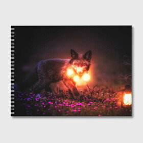 Альбом для рисования с принтом Лисица с фонариками в Кировске, 100% бумага
 | матовая бумага, плотность 200 мг. | Тематика изображения на принте: fox | foxy | животное | звери | лиса | лисенок | лисичка | милая | рыжая | фокс