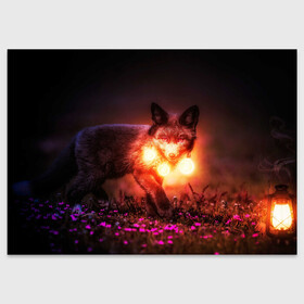 Поздравительная открытка с принтом Лисица с фонариками в Кировске, 100% бумага | плотность бумаги 280 г/м2, матовая, на обратной стороне линовка и место для марки
 | Тематика изображения на принте: fox | foxy | животное | звери | лиса | лисенок | лисичка | милая | рыжая | фокс