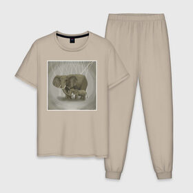 Мужская пижама хлопок с принтом Слоны в Кировске, 100% хлопок | брюки и футболка прямого кроя, без карманов, на брюках мягкая резинка на поясе и по низу штанин
 | иллюстрация | рисунок | серый | слон | слоненок