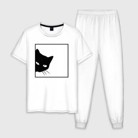 Мужская пижама хлопок с принтом BLACK CAT | ЧЕРНАЯ КОШКА в Кировске, 100% хлопок | брюки и футболка прямого кроя, без карманов, на брюках мягкая резинка на поясе и по низу штанин
 | black | cat | cats | creative | hunter | minimalism | night | кот | коте | котенок | котэ | кошка | креатив | креативная | минимализм | надпись | ночь | охотник | текст | черная | черный