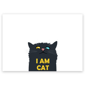 Поздравительная открытка с принтом I AM CAT в Кировске, 100% бумага | плотность бумаги 280 г/м2, матовая, на обратной стороне линовка и место для марки
 | Тематика изображения на принте: animal | cat | i am cat | meow | животное | зверь | кот | кошка | мяу