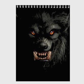 Скетчбук с принтом Оборотень | Werewolf в Кировске, 100% бумага
 | 48 листов, плотность листов — 100 г/м2, плотность картонной обложки — 250 г/м2. Листы скреплены сверху удобной пружинной спиралью | werewolf | волк | зверь | зло | мистика | монстр | оборотень | полнолуние | ужасы
