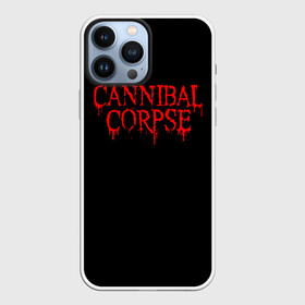 Чехол для iPhone 13 Pro Max с принтом Cannibal Corpse в Кировске,  |  | Тематика изображения на принте: at | back | birth | bleeding | bloodthirst | butchered | cannibal | corpse | eaten | evisceration | gallery | gore | kill | kreaton | life | mutilated | obsessed | of | slayer | sodom | spawn | suicide | the | to | tomb | unimagined | vile | 