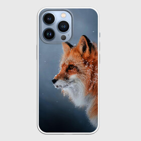 Чехол для iPhone 13 Pro с принтом Лиса в Кировске,  |  | fox | foxy | животное | звери | лиса | лисенок | лисичка | милая | рыжая | фокс