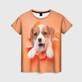 Женская футболка 3D с принтом Собака в Кировске, 100% полиэфир ( синтетическое хлопкоподобное полотно) | прямой крой, круглый вырез горловины, длина до линии бедер | dog | барбос | дворняга | друг человека | пёс | псина | собака | собачка | собачонка | четвероногий друг | шарик | щенок
