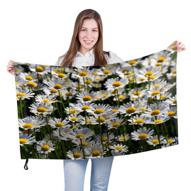 Флаг 3D с принтом Ромашки в Кировске, 100% полиэстер | плотность ткани — 95 г/м2, размер — 67 х 109 см. Принт наносится с одной стороны | поле | поля | природа | природный | растение | растения | ромашка | ромашки | цветочек | цветочки | цветочное | цветы