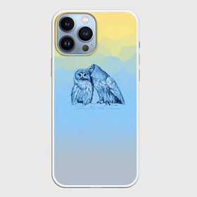 Чехол для iPhone 13 Pro Max с принтом Совиная нежность в Кировске,  |  | 2021 | color2021 | illuminating | pantone | ultimate grey | yellow | желтый | любовь | природа | путешествия | серый | совы