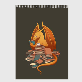 Скетчбук с принтом Book Dragon в Кировске, 100% бумага
 | 48 листов, плотность листов — 100 г/м2, плотность картонной обложки — 250 г/м2. Листы скреплены сверху удобной пружинной спиралью | book | books | dragon | knowledge | professor | study | tea | wyvern | виверна | дракон | знания | книга | книги | книжный | профессор | чай