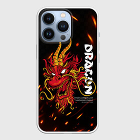 Чехол для iPhone 13 Pro с принтом Dragon Огненный дракон в Кировске,  |  | dragon | fire | дракон | китай | китайский огонь | костер | огонь