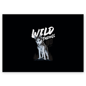 Поздравительная открытка с принтом Wild Things в Кировске, 100% бумага | плотность бумаги 280 г/м2, матовая, на обратной стороне линовка и место для марки
 | wolf | волк | лес | пес | север | собака | хаски