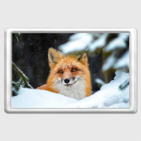 Магнит 45*70 с принтом Лисичка на сугробе в Кировске, Пластик | Размер: 78*52 мм; Размер печати: 70*45 | Тематика изображения на принте: fox | foxy | животное | звери | лиса | лисенок | лисичка | милая | рыжая | фокс