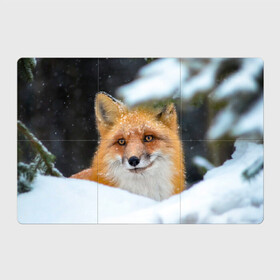 Магнитный плакат 3Х2 с принтом Лисичка на сугробе в Кировске, Полимерный материал с магнитным слоем | 6 деталей размером 9*9 см | fox | foxy | животное | звери | лиса | лисенок | лисичка | милая | рыжая | фокс
