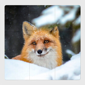 Магнитный плакат 3Х3 с принтом Лисичка на сугробе в Кировске, Полимерный материал с магнитным слоем | 9 деталей размером 9*9 см | fox | foxy | животное | звери | лиса | лисенок | лисичка | милая | рыжая | фокс