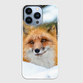 Чехол для iPhone 13 Pro с принтом Лисичка на сугробе в Кировске,  |  | fox | foxy | животное | звери | лиса | лисенок | лисичка | милая | рыжая | фокс