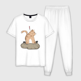 Мужская пижама хлопок с принтом Кот в мешке в Кировске, 100% хлопок | брюки и футболка прямого кроя, без карманов, на брюках мягкая резинка на поясе и по низу штанин
 | cat | кот в мешке | кот из мема | рыжий котик | удивленный кошак