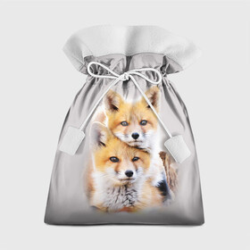 Подарочный 3D мешок с принтом Лисята в Кировске, 100% полиэстер | Размер: 29*39 см | детеныши | животные | лиса | лисенок | лисичка | лисята | природа | рыжая
