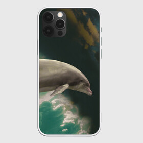 Чехол для iPhone 12 Pro с принтом Дельфин в облаках в Кировске, силикон | область печати: задняя сторона чехла, без боковых панелей | дельфин | облака | плавник | полет | свобода
