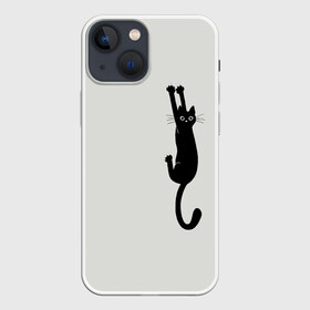 Чехол для iPhone 13 mini с принтом Испуганный кот в Кировске,  |  | Тематика изображения на принте: animal | beast | cat | claws | fright | frightened | kitten | look | surprise | surprised | взгляд | животное | зверь | испуг | испуганный | когти | кот | котенок | кошка | удивление | удивленный