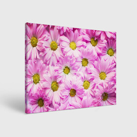 Холст прямоугольный с принтом Цветы в Кировске, 100% ПВХ |  | лето | маргаритки | розовый | фон | цветы