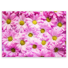 Поздравительная открытка с принтом Цветы в Кировске, 100% бумага | плотность бумаги 280 г/м2, матовая, на обратной стороне линовка и место для марки
 | лето | маргаритки | розовый | фон | цветы
