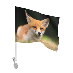 Флаг для автомобиля с принтом Мордочка лисицы в Кировске, 100% полиэстер | Размер: 30*21 см | fox | foxy | животное | звери | лиса | лисенок | лисичка | милая | рыжая | фокс