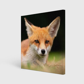 Холст квадратный с принтом Мордочка лисицы в Кировске, 100% ПВХ |  | fox | foxy | животное | звери | лиса | лисенок | лисичка | милая | рыжая | фокс