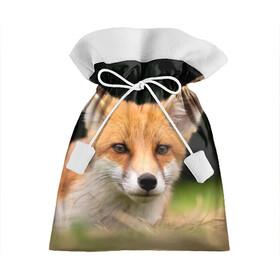 Подарочный 3D мешок с принтом Мордочка лисицы в Кировске, 100% полиэстер | Размер: 29*39 см | fox | foxy | животное | звери | лиса | лисенок | лисичка | милая | рыжая | фокс