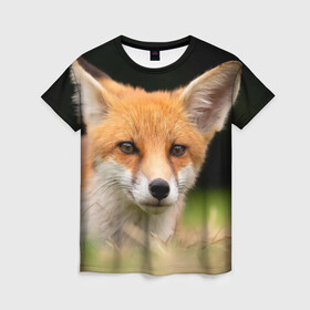 Женская футболка 3D с принтом Мордочка лисицы в Кировске, 100% полиэфир ( синтетическое хлопкоподобное полотно) | прямой крой, круглый вырез горловины, длина до линии бедер | fox | foxy | животное | звери | лиса | лисенок | лисичка | милая | рыжая | фокс