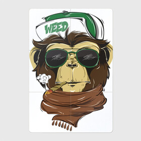 Магнитный плакат 2Х3 с принтом Cool обезьяна в Кировске, Полимерный материал с магнитным слоем | 6 деталей размером 9*9 см | Тематика изображения на принте: кепка | крутая обезьяна | обезьяна | очки | смешная | шарф