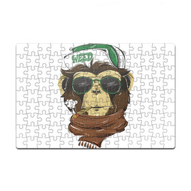 Пазл магнитный 126 элементов с принтом Cool обезьяна в Кировске, полимерный материал с магнитным слоем | 126 деталей, размер изделия —  180*270 мм | кепка | крутая обезьяна | обезьяна | очки | смешная | шарф