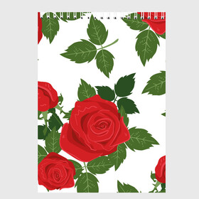 Скетчбук с принтом Большие розы в Кировске, 100% бумага
 | 48 листов, плотность листов — 100 г/м2, плотность картонной обложки — 250 г/м2. Листы скреплены сверху удобной пружинной спиралью | Тематика изображения на принте: арт | белый | большие бутоны | большие розы | большой бутон | зелёный | красная роза | красные розы | красные цветы | красный | красный цветок | листок | листья | поле | поле цветов | рисунок | роза