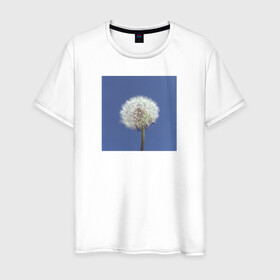 Мужская футболка хлопок с принтом Одуванчик на фоне неба в Кировске, 100% хлопок | прямой крой, круглый вырез горловины, длина до линии бедер, слегка спущенное плечо. | весна | минимализм | небо | одуванчик | цветы