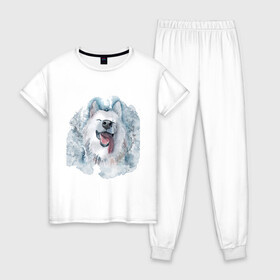 Женская пижама хлопок с принтом Самоед в Кировске, 100% хлопок | брюки и футболка прямого кроя, без карманов, на брюках мягкая резинка на поясе и по низу штанин | животные | лайка | питомцы | самоед | самоедская лайка | собака | собаки