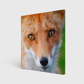 Холст квадратный с принтом Крупно мордочка лисы в Кировске, 100% ПВХ |  | fox | foxy | животное | звери | лиса | лисенок | лисичка | милая | рыжая | фокс