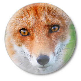 Значок с принтом Крупно мордочка лисы в Кировске,  металл | круглая форма, металлическая застежка в виде булавки | Тематика изображения на принте: fox | foxy | животное | звери | лиса | лисенок | лисичка | милая | рыжая | фокс