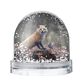 Снежный шар с принтом Лисица и птичка в Кировске, Пластик | Изображение внутри шара печатается на глянцевой фотобумаге с двух сторон | fox | foxy | животное | звери | лиса | лисенок | лисичка | милая | рыжая | фокс