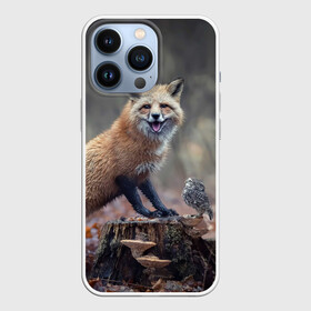 Чехол для iPhone 13 Pro с принтом Лисица и птичка в Кировске,  |  | fox | foxy | животное | звери | лиса | лисенок | лисичка | милая | рыжая | фокс