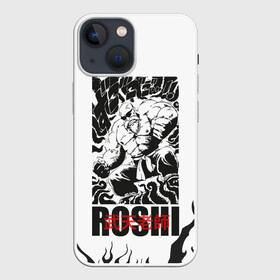 Чехол для iPhone 13 mini с принтом Roshi в Кировске,  |  | anime | dragon ball | аниме | анимэ | бульма | драгон бал | дрэгон бол | жемчуг дракона | мутаэн роши | сон гоку | сунь укун | улонг | ямча