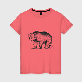 Женская футболка хлопок с принтом Медведь Гризли | Grizzly Bear в Кировске, 100% хлопок | прямой крой, круглый вырез горловины, длина до линии бедер, слегка спущенное плечо | alaska | american bear | art | bears | canada | illustration | united states | ursus | usa | аляска | американский медведь | арт | бурый медведь | бурый мишка | иллюстрация | канада | косолапый | медвежонок | мишка | потапыч | рисунок
