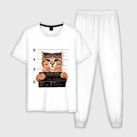 Мужская пижама хлопок с принтом РУТОЙ КОТ В ОЧКАХ ЗАКЛЮЧЕННЫЙ в Кировске, 100% хлопок | брюки и футболка прямого кроя, без карманов, на брюках мягкая резинка на поясе и по низу штанин
 | cat | cats | cool | cute | funny | kitten | kitty | meow | pet | prisoner | в очках | заключенный | кот | котик | коты | кошка | кошки | милый