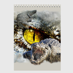 Скетчбук с принтом Глаз крокодила в Кировске, 100% бумага
 | 48 листов, плотность листов — 100 г/м2, плотность картонной обложки — 250 г/м2. Листы скреплены сверху удобной пружинной спиралью | аллигатор | глаз | крокодил | крокодильчик | ящер