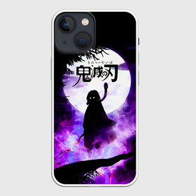 Чехол для iPhone 13 mini с принтом Demon Slayer: Kimetsu no Yaiba в Кировске,  |  | demon slayer | kamado | kimetsu no yaiba | nezuko | tanjiro | аниме | гию томиока | зеницу агацума | иноске хашибира | камадо | клинок | корзинная девочка | манга | музан кибуцуджи | незуко | рассекающий демонов | танджиро