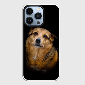 Чехол для iPhone 13 Pro с принтом ГРУСТНЫЕ ГЛАЗКИ в Кировске,  |  | animal | black | dog | photo | глаза | грусть | домашние | животные | звери | пес | пушистый | собакен | собаки | черный