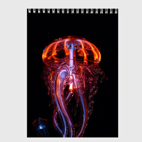 Скетчбук с принтом Медуза | Jellyfish в Кировске, 100% бумага
 | 48 листов, плотность листов — 100 г/м2, плотность картонной обложки — 250 г/м2. Листы скреплены сверху удобной пружинной спиралью | Тематика изображения на принте: jellyfish | medusa | горгона | медуза | щупальца