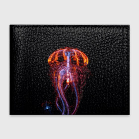 Обложка для студенческого билета с принтом Медуза | Jellyfish в Кировске, натуральная кожа | Размер: 11*8 см; Печать на всей внешней стороне | jellyfish | medusa | горгона | медуза | щупальца
